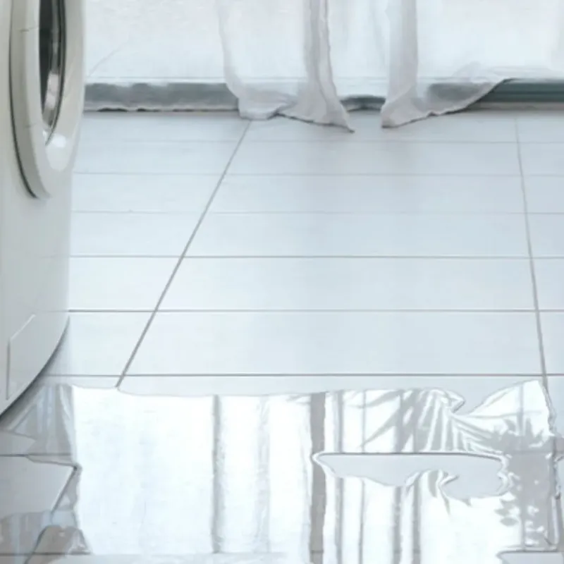 Appliance Leak Cleanup in Camanche, IA