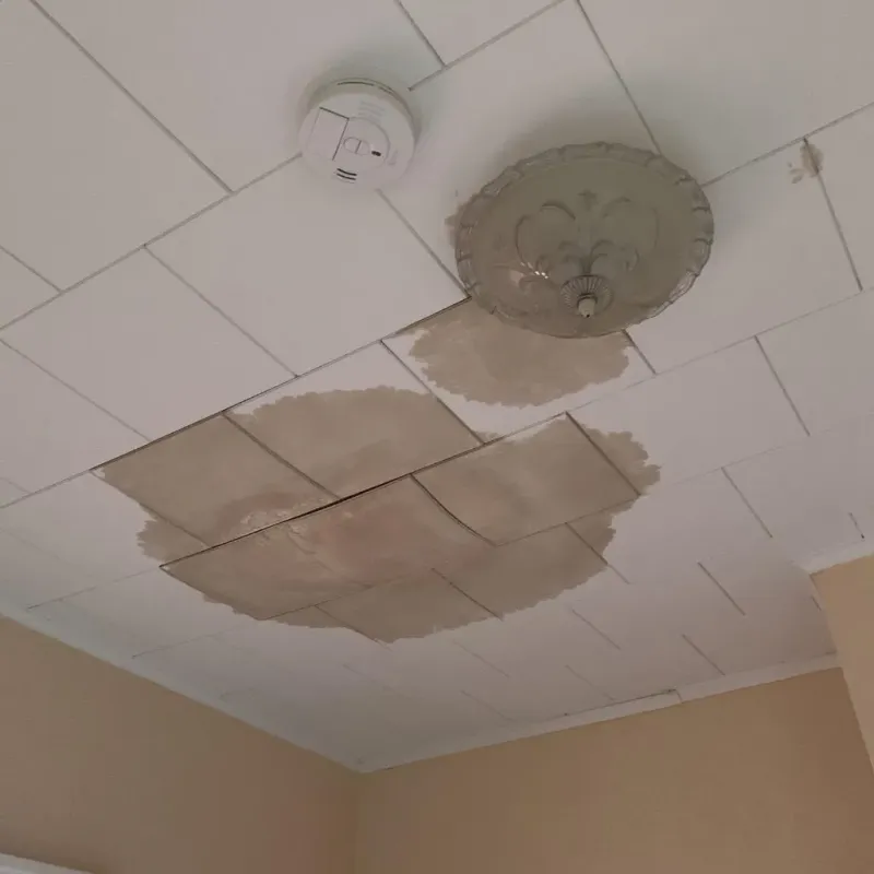Ceiling Water Damage Repair in Camanche, IA