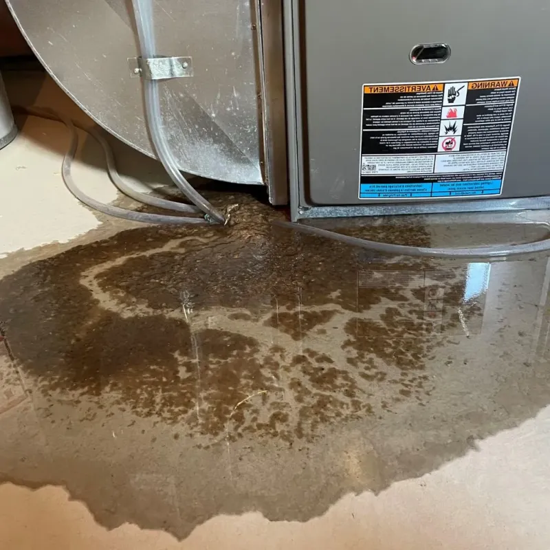 Pipe Burst and Leak Restoration in Camanche, IA