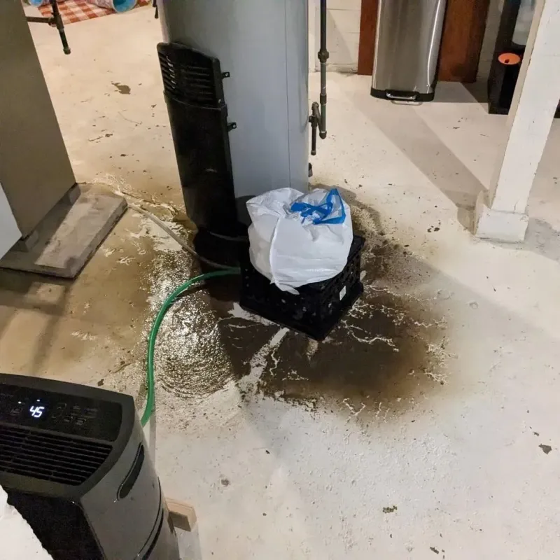 Sewage Backup Cleanup Service in Camanche, IA